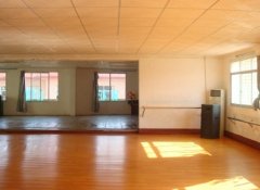 幼儿园舞蹈室铺PVC地板-茂名横沥培英幼儿园