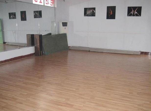 学校训练室木纹PVC运动地板