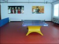 运动地板|乒乓球运动地板